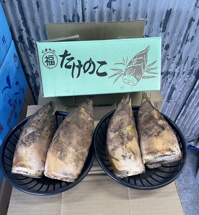 画像10762