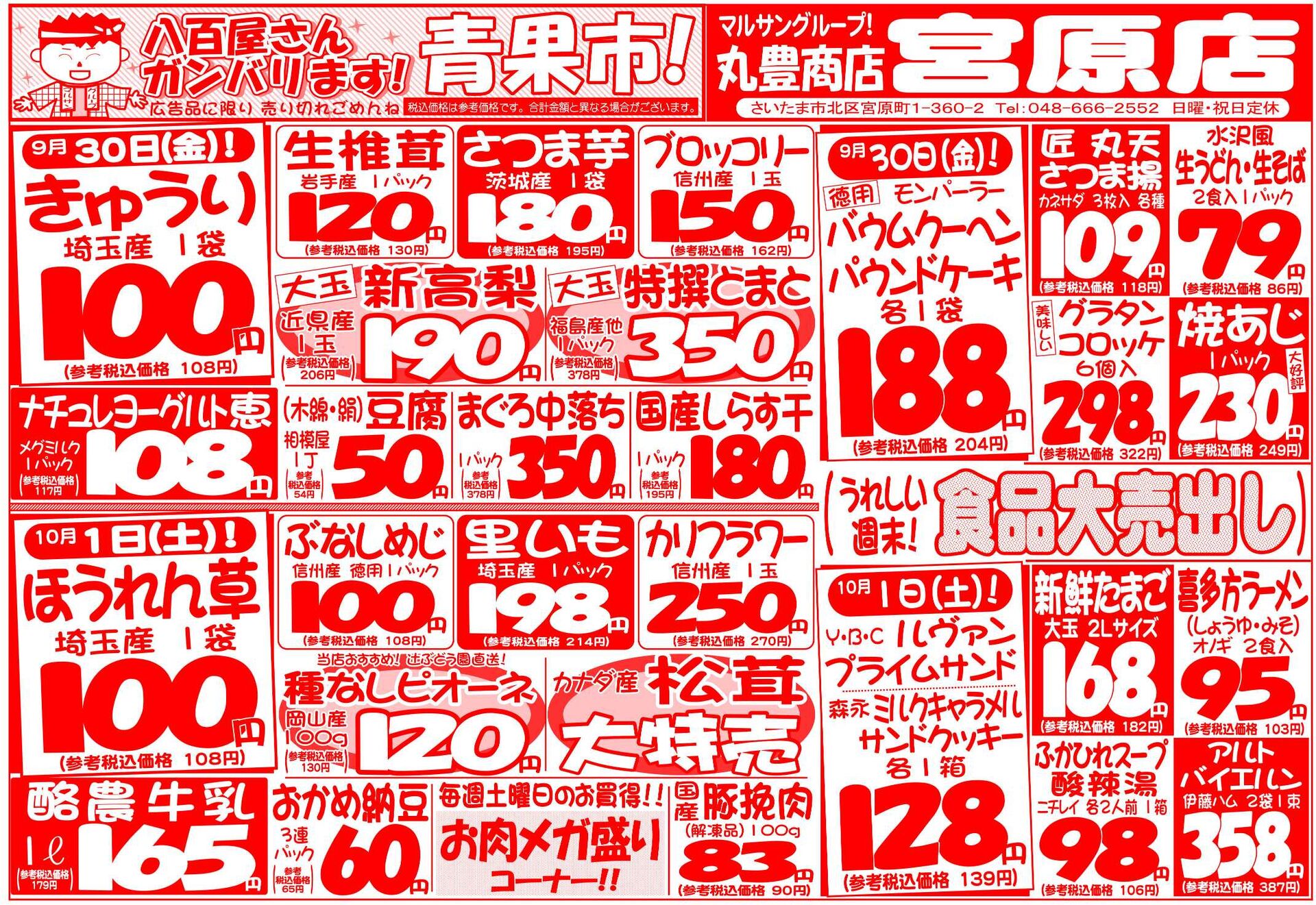 マルサンの目玉情報