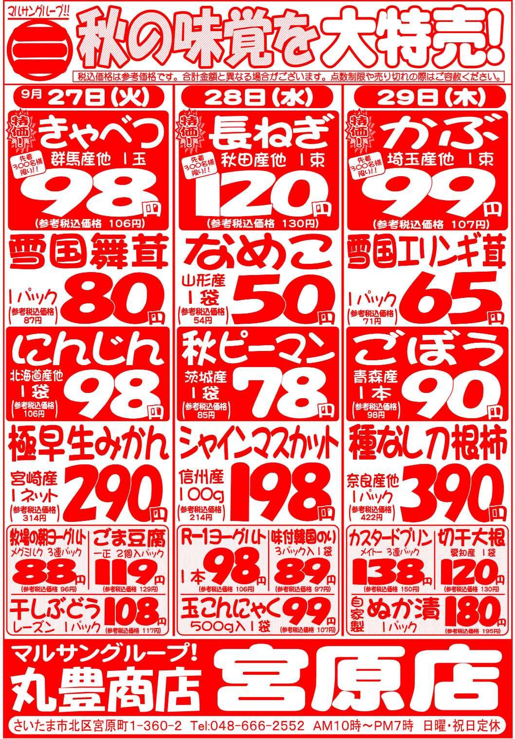マルサンの目玉情報