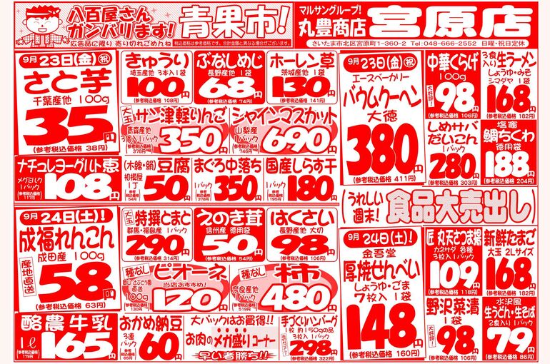 マルサンの目玉情報