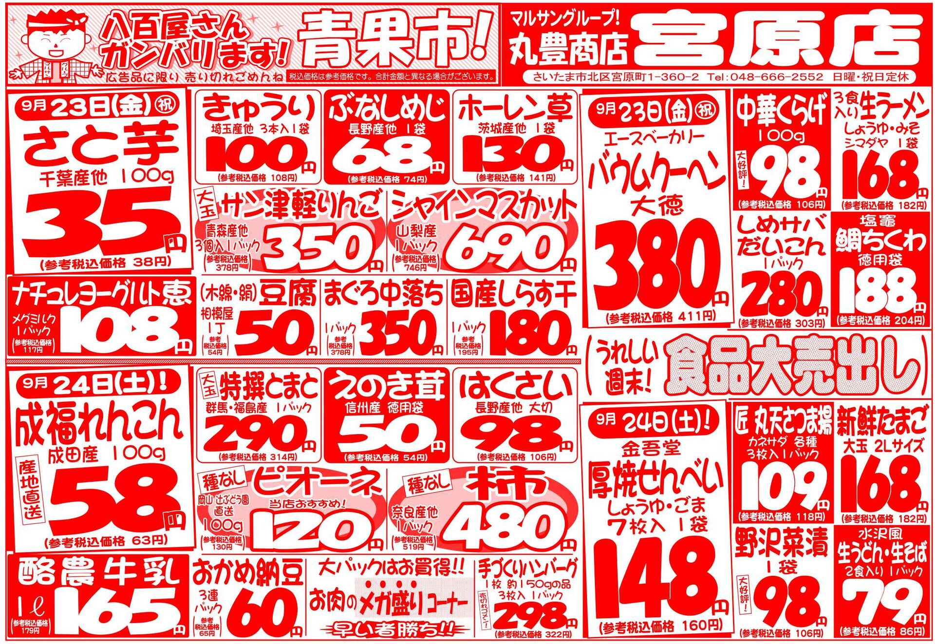 マルサンの目玉情報