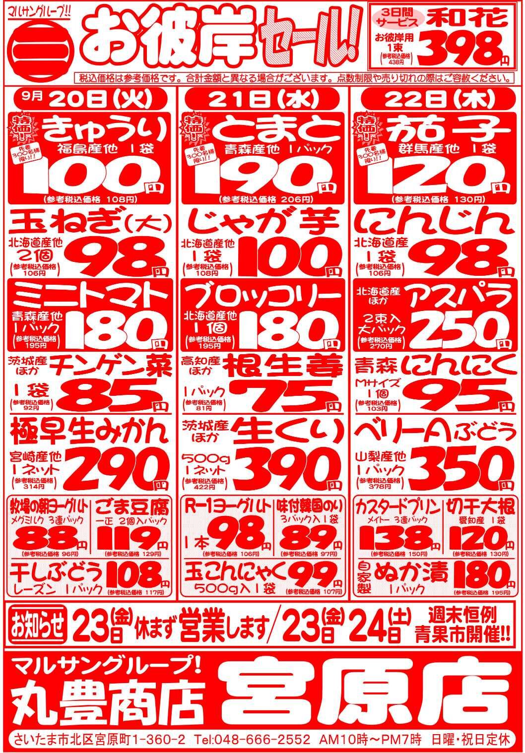 マルサンの目玉情報