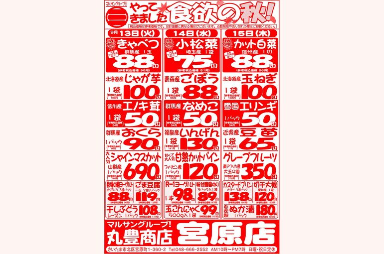 マルサンの目玉情報