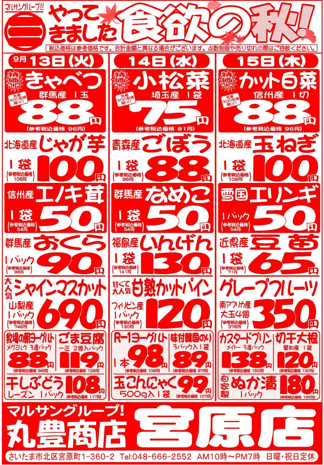 マルサンの目玉情報