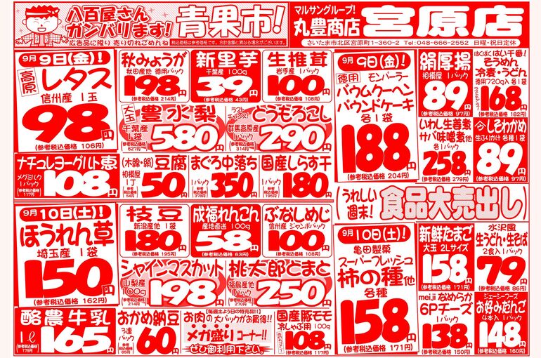 マルサンの目玉情報