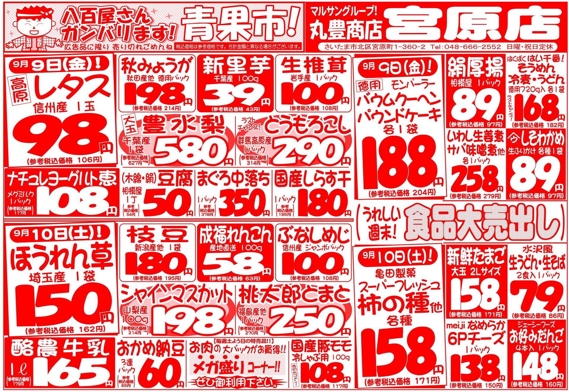 マルサンの目玉情報
