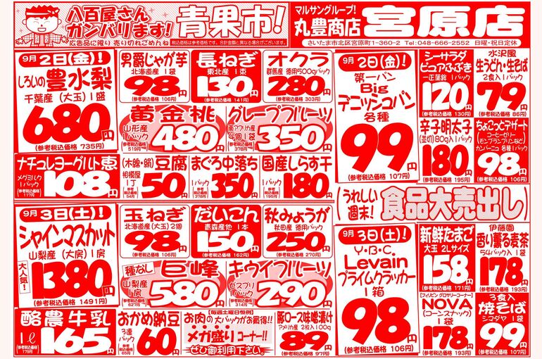 マルサンの目玉情報