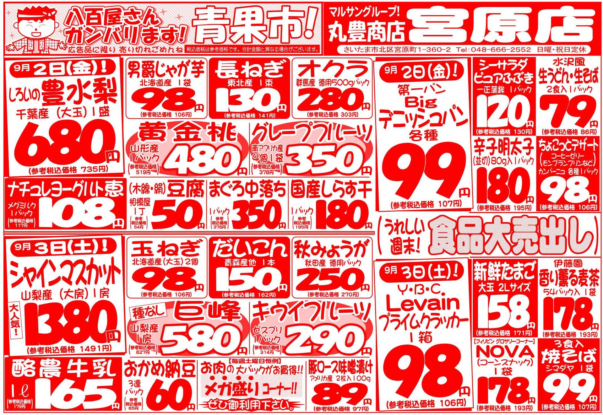 マルサンの目玉情報