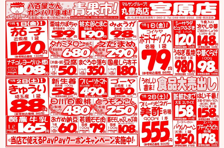 マルサンの目玉情報