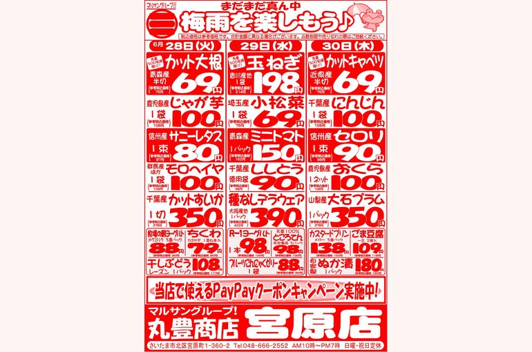 マルサンの目玉情報