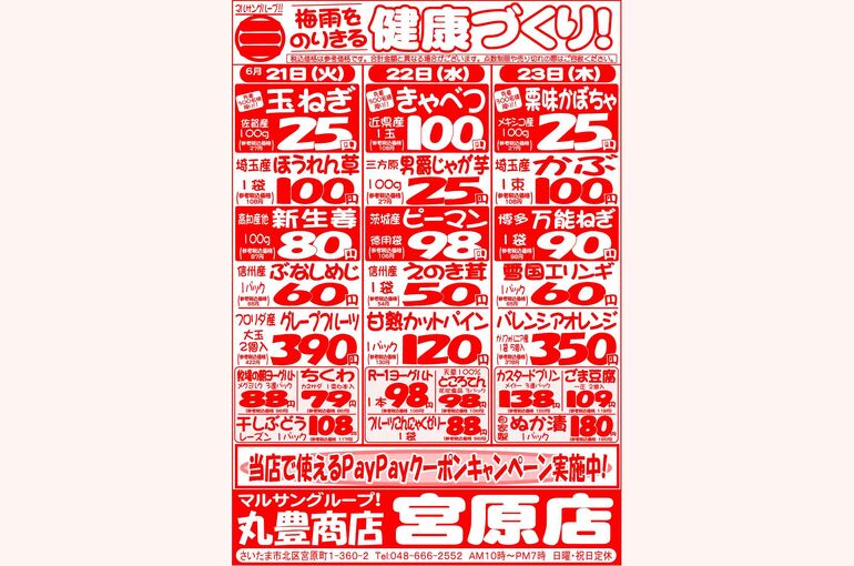 マルサンの目玉情報