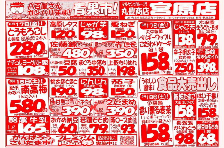 マルサンの目玉情報