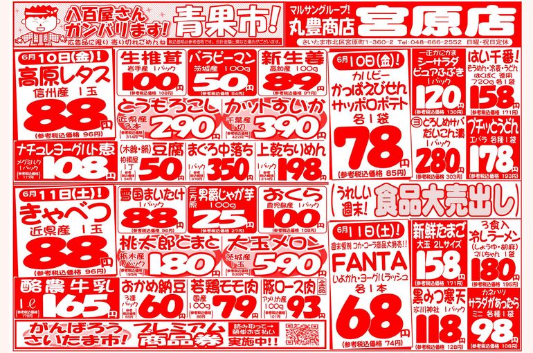 マルサンの目玉情報