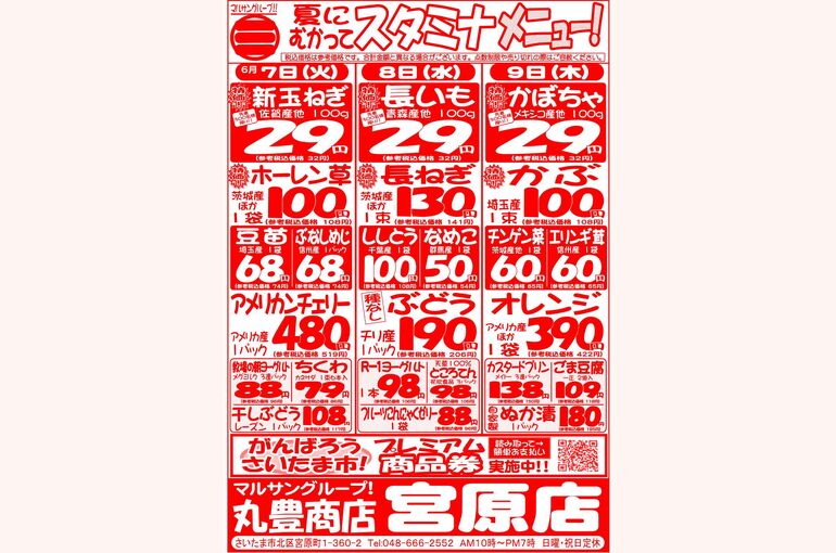 マルサンの目玉情報