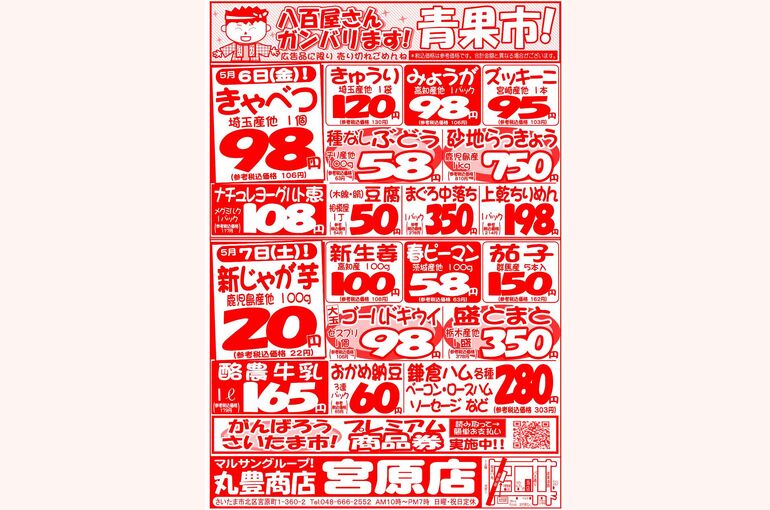マルサンの目玉情報