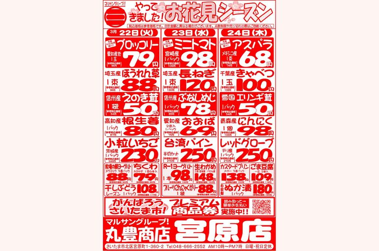 マルサンの目玉情報
