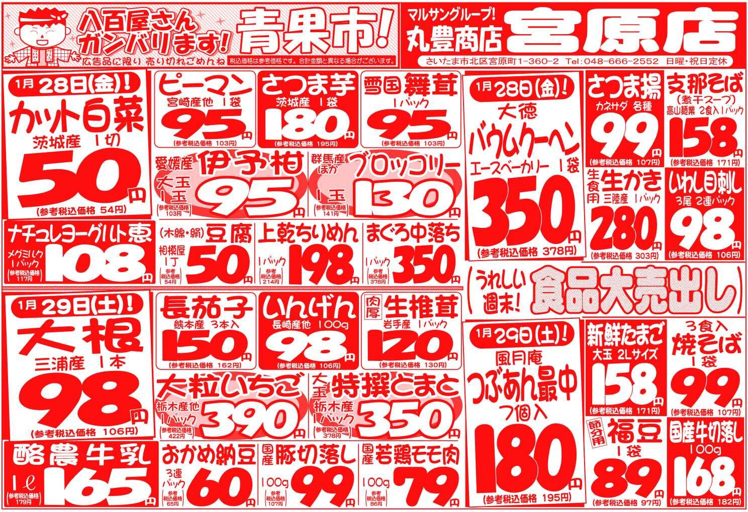 マルサンの目玉情報