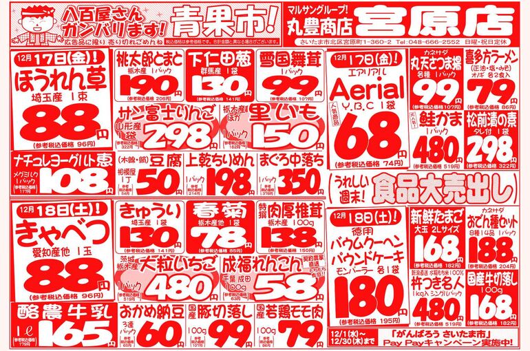 マルサンの目玉情報