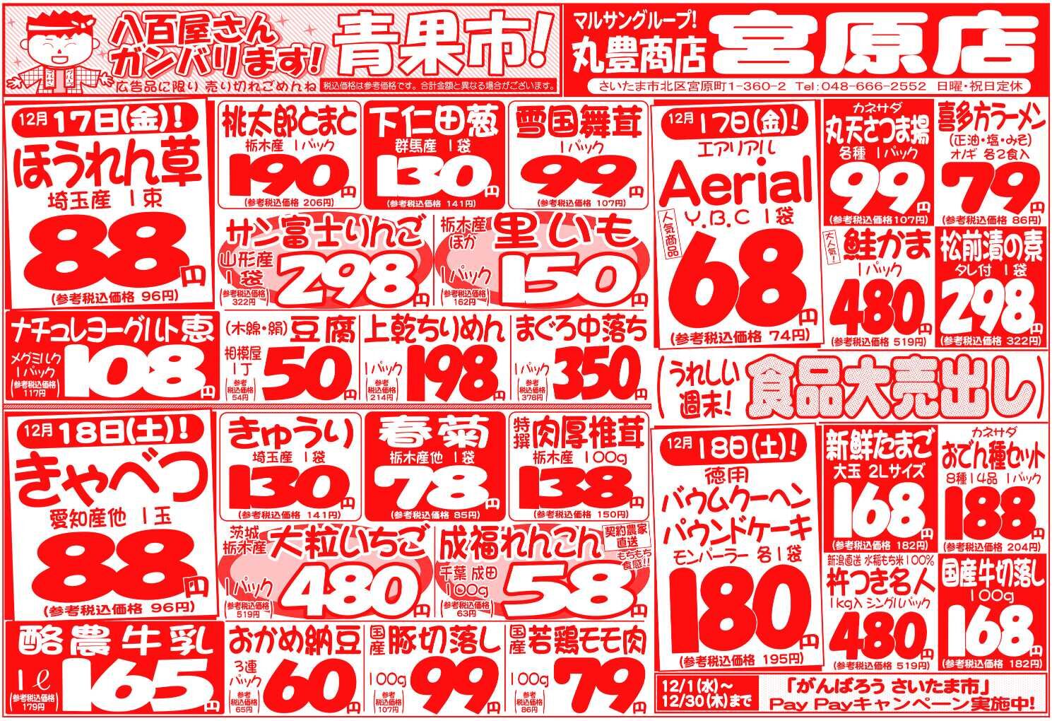 マルサンの目玉情報