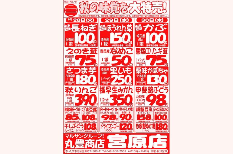 マルサンの目玉情報