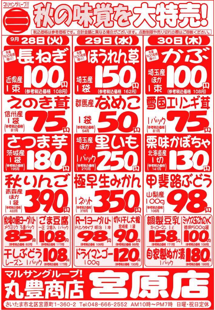 マルサンの目玉情報
