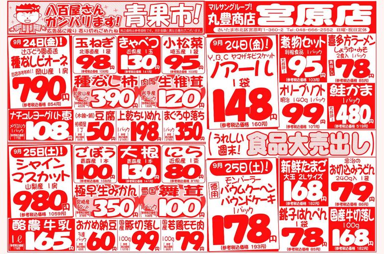 マルサンの目玉情報