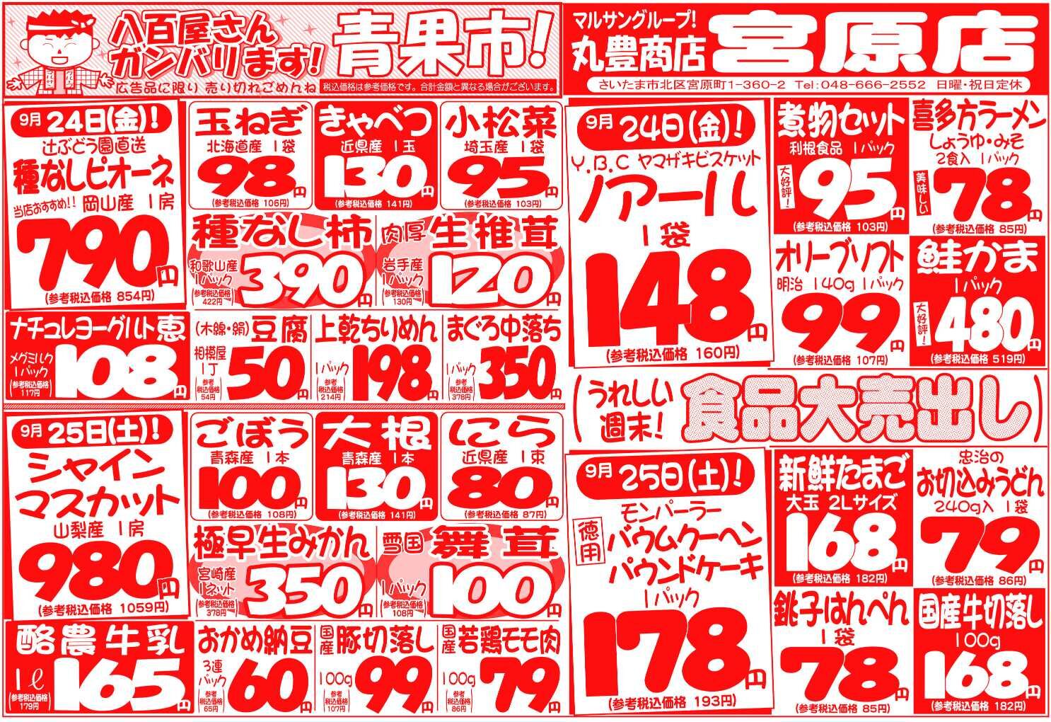 マルサンの目玉情報