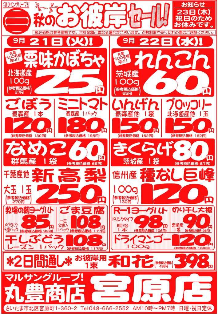 マルサンの目玉情報