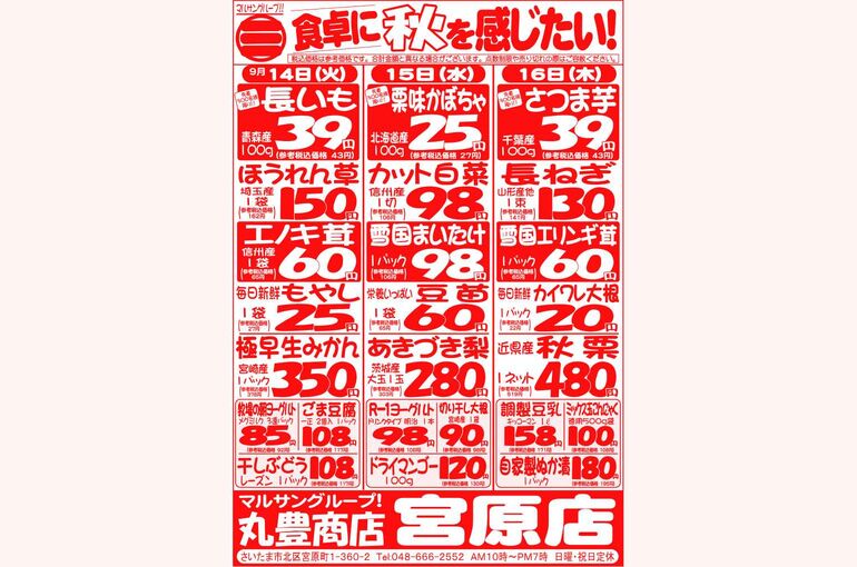 マルサンの目玉情報