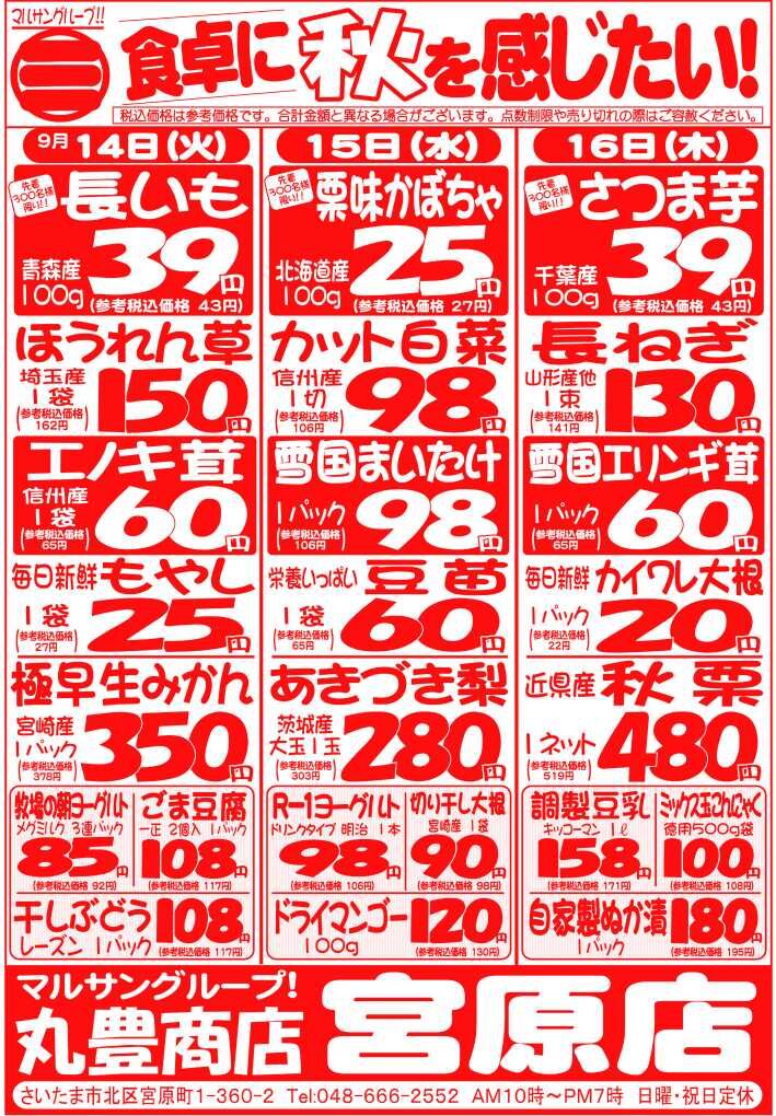 マルサンの目玉情報
