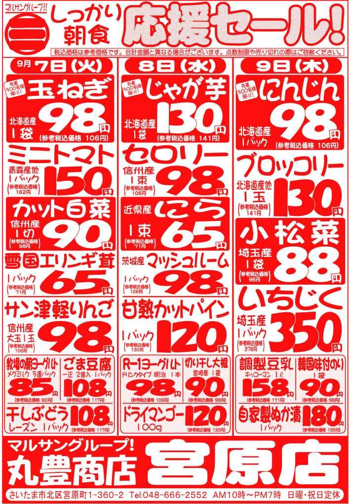 マルサンの目玉情報