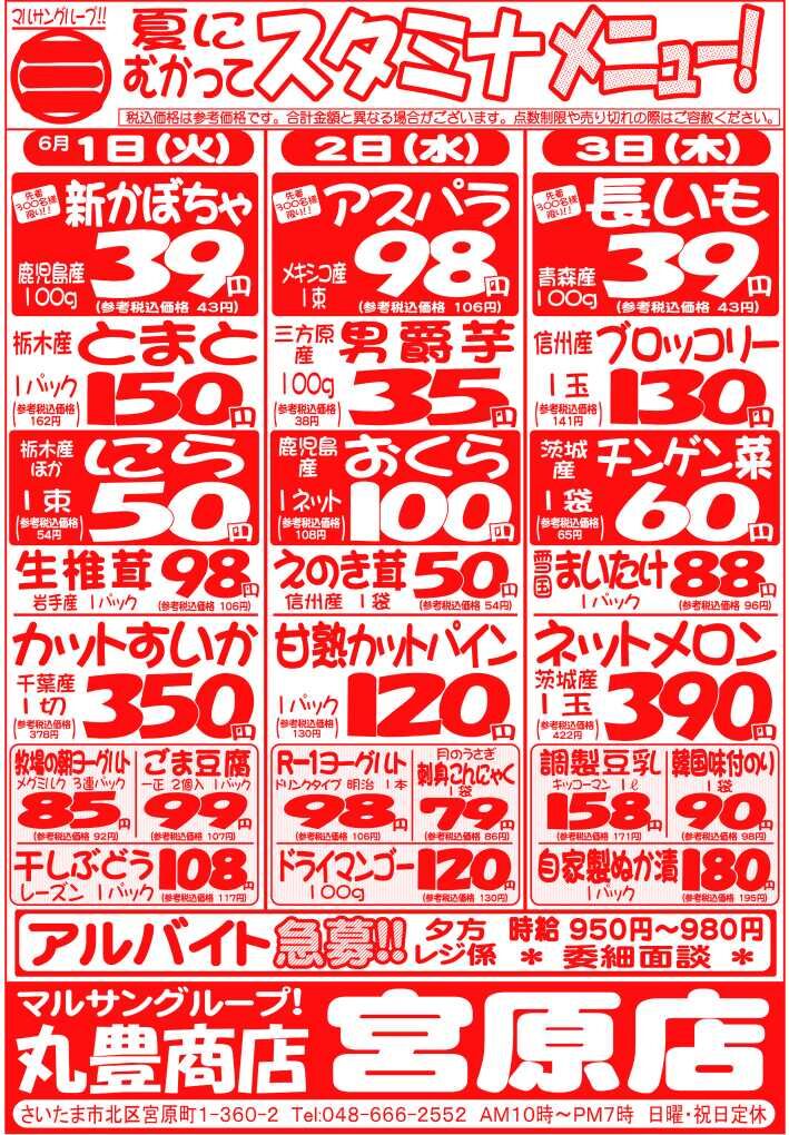 マルサンの目玉情報