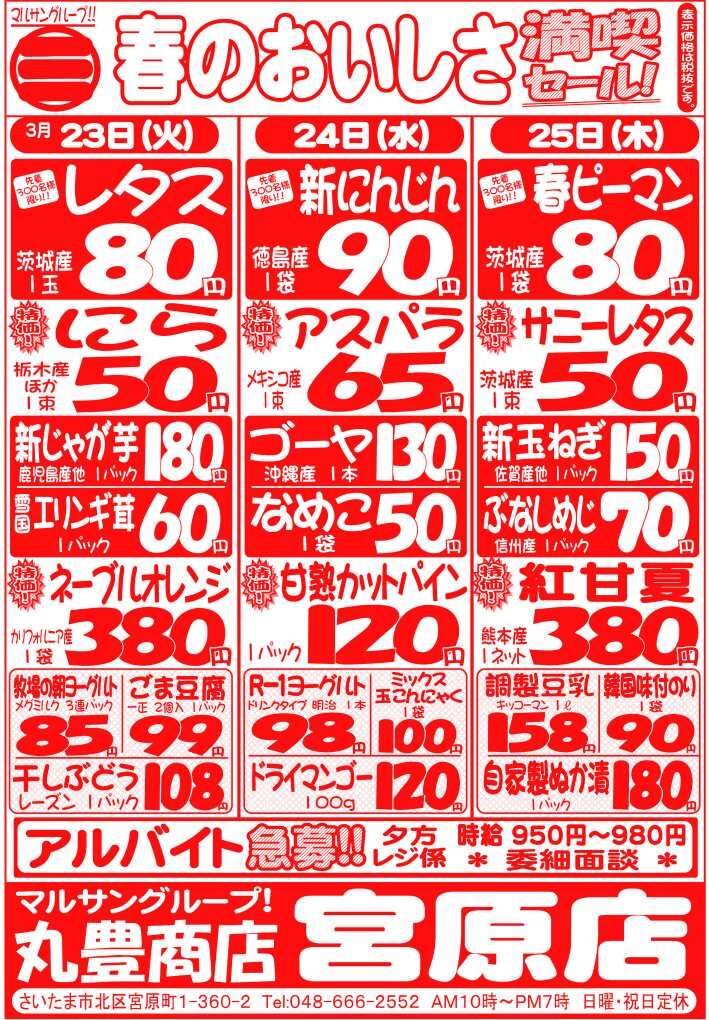 マルサンの目玉情報
