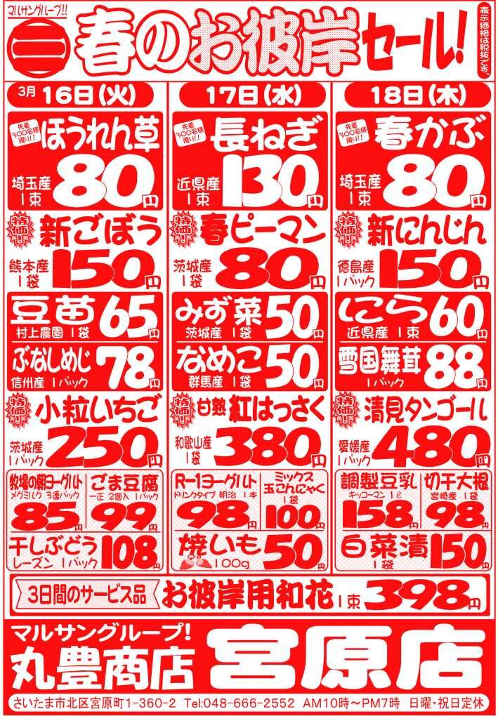 マルサンの目玉情報