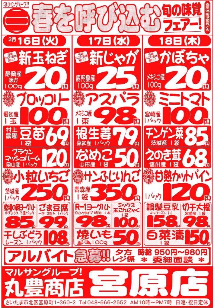 マルサンの目玉情報