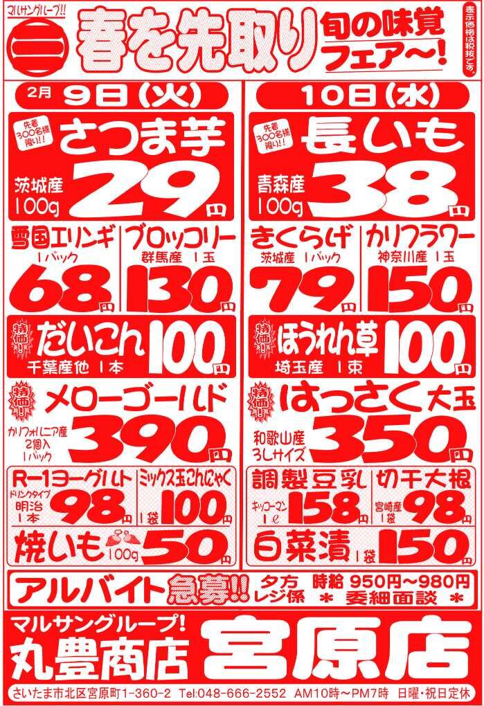 マルサンの目玉情報