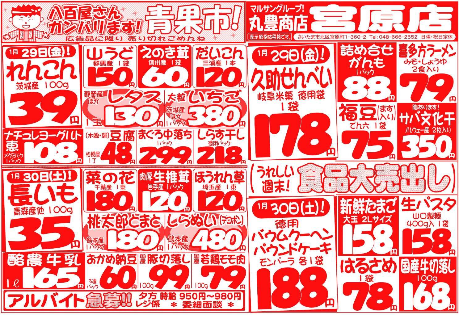 マルサンの目玉情報