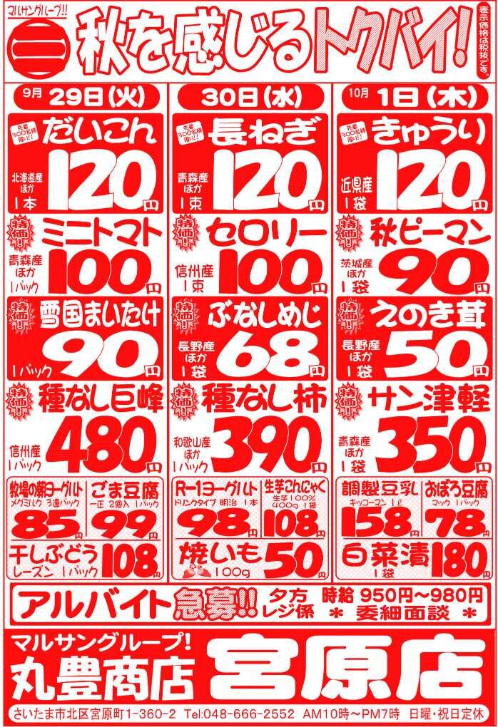 マルサンの目玉情報