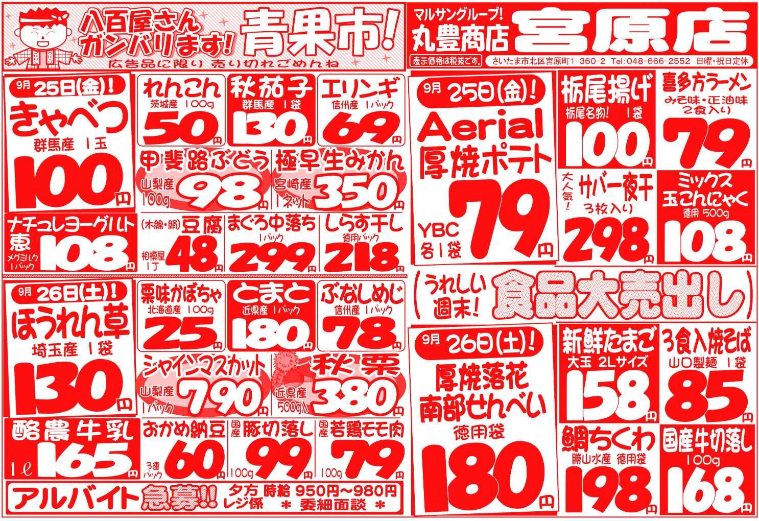 マルサンの目玉情報