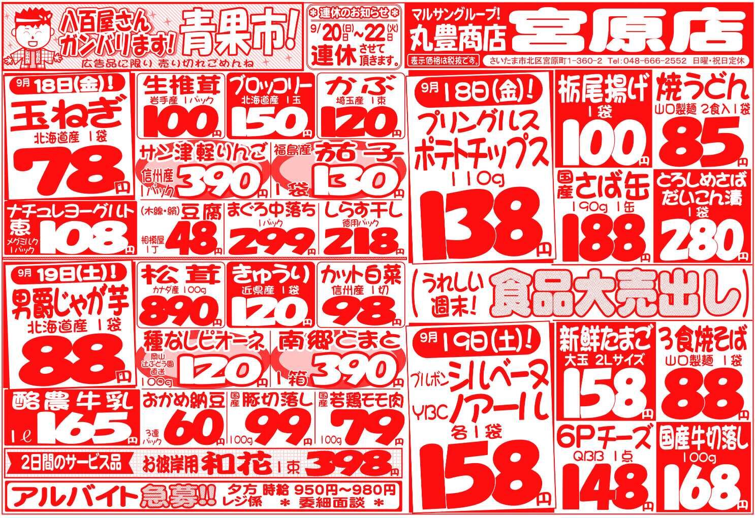 マルサンの目玉情報