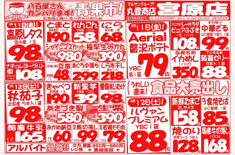 マルサンの目玉情報