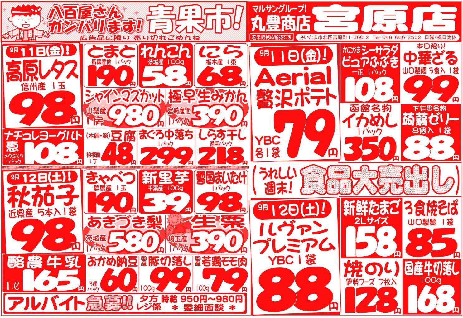 マルサンの目玉情報