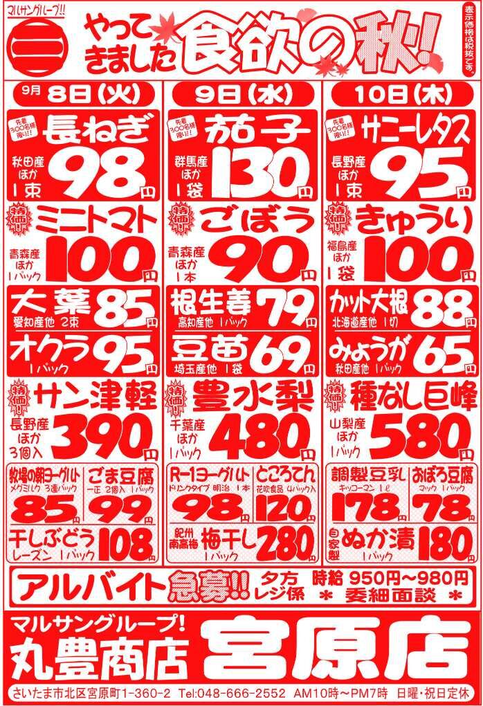 マルサンの目玉情報