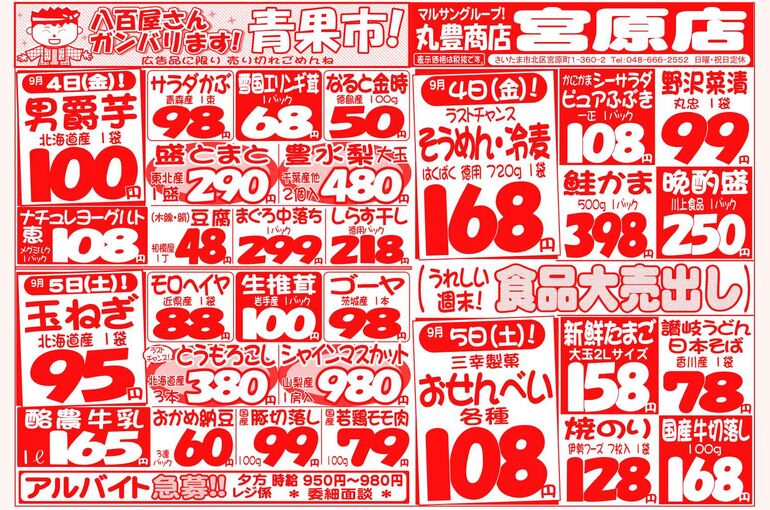 マルサンの目玉情報
