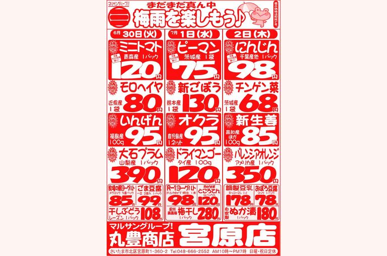 マルサンの目玉情報