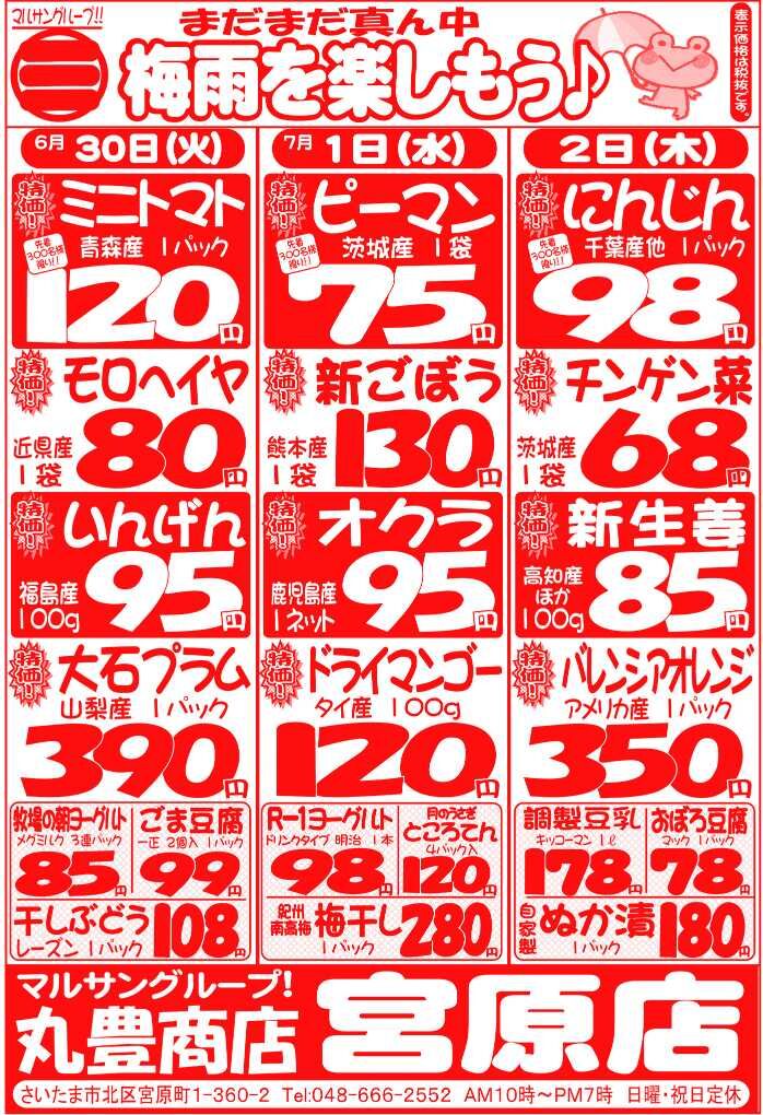 マルサンの目玉情報