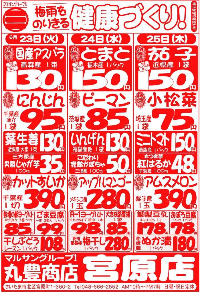 マルサンの目玉情報