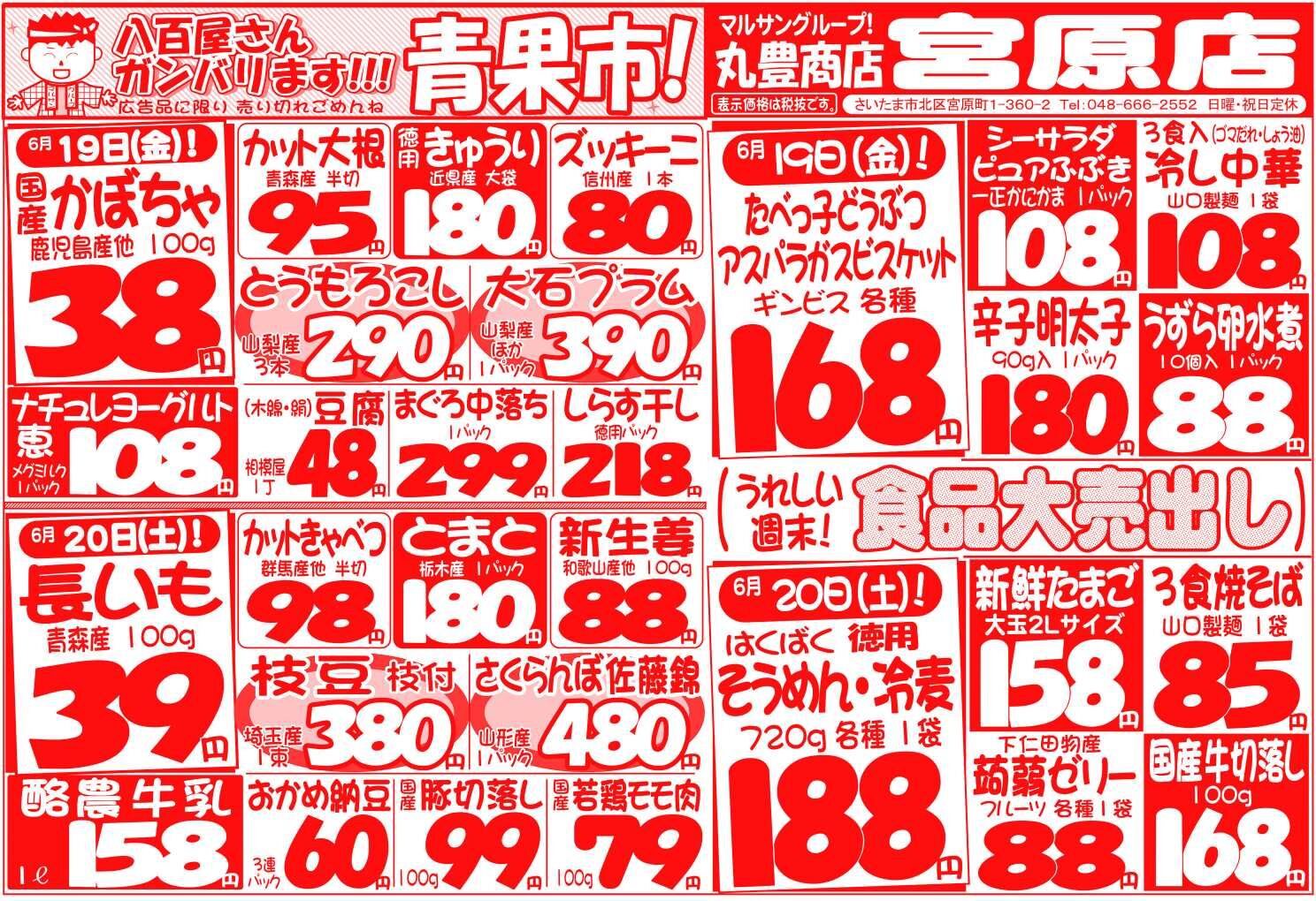 マルサンの目玉情報