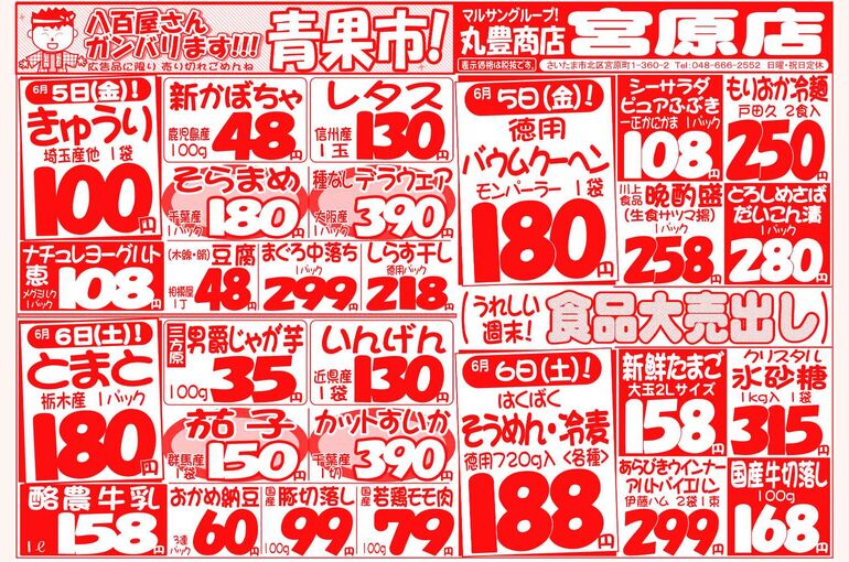 マルサンの目玉情報