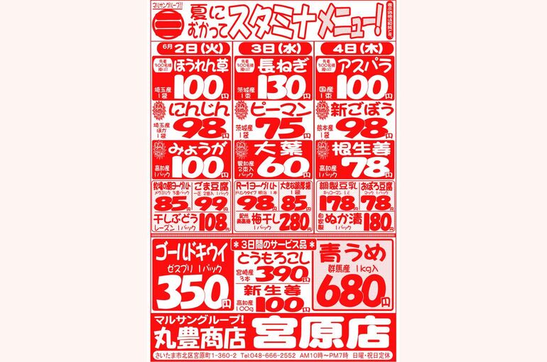 マルサンの目玉情報